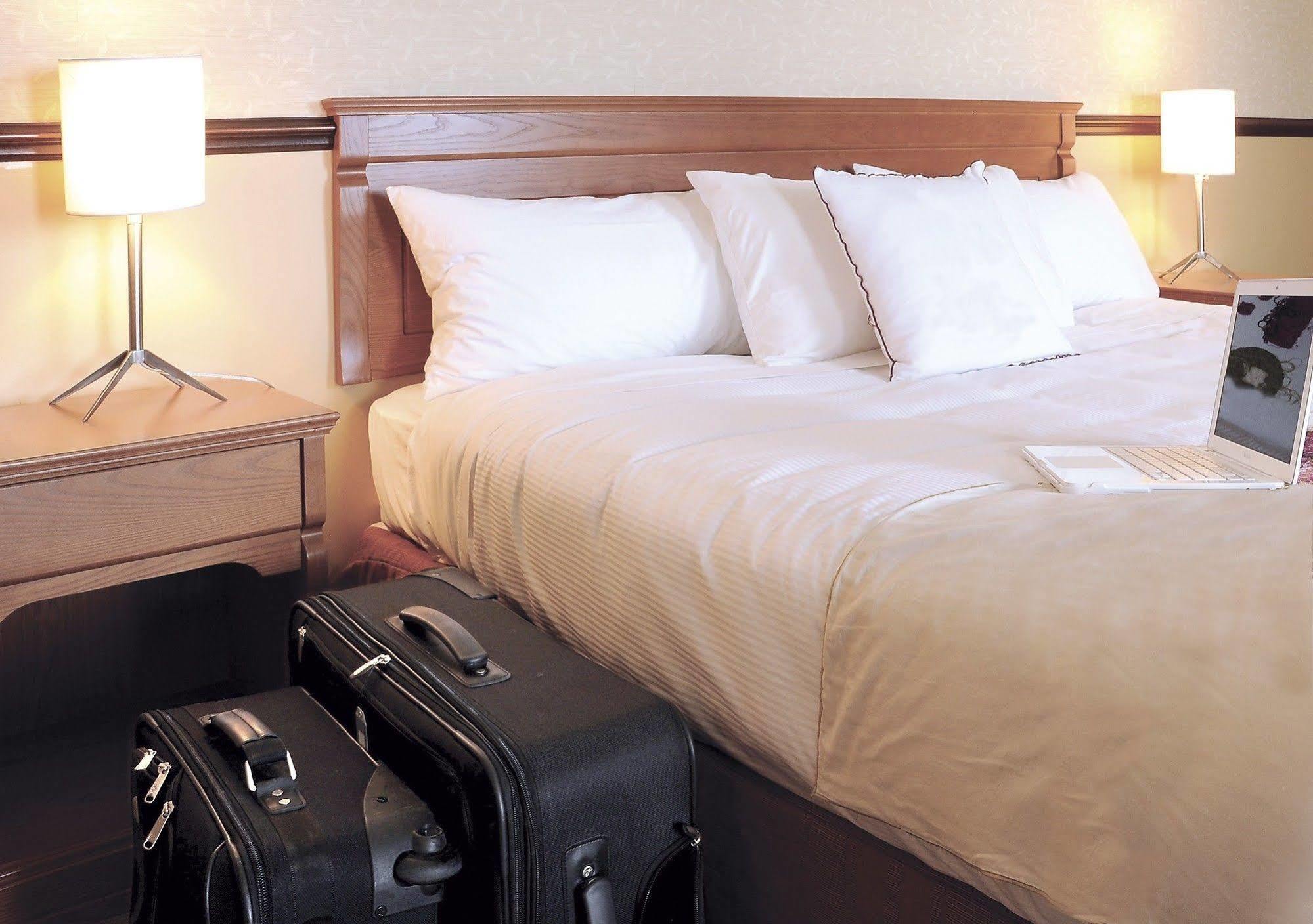 Hotel Universel Alma Bagian luar foto